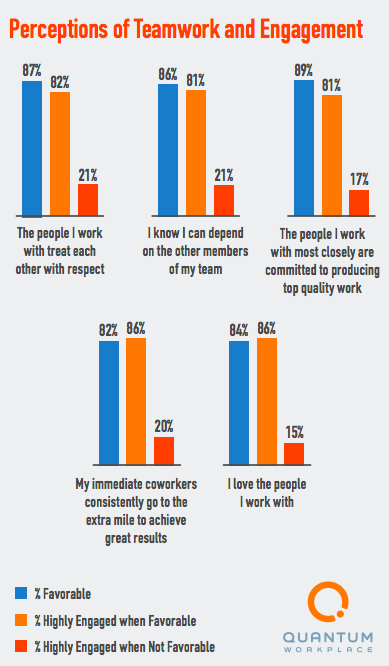 PERCEPTIONS OF TEAM WORK AND ENGAGEMENT